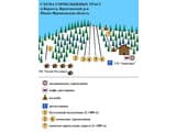 12 місяців 5