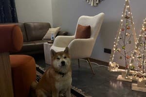 AINO Hotel 6