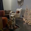AINO Hotel 6