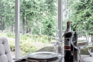 Адреналин 20