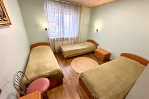 Мини-отель Ажио. Полулюкс трехместный с односпальными кроватями 1