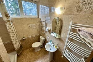 Мини-отель Ажио. Стандарт двухместный с 1 кроватью 8