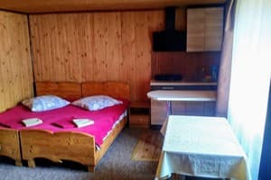 Коттедж Alfa Plus. Семейный 4-местный коттедж около ручья 5