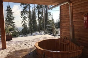 Alpine Eco Chalet & Wellness 3