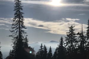 Alpine Eco Chalet & Wellness 10