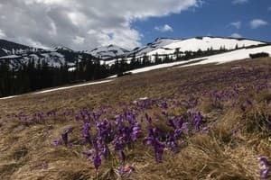 Alpine Eco Chalet & Wellness 17