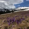 Alpine Eco Chalet & Wellness 11-12/34