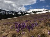Alpine Eco Chalet & Wellness 13