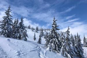 Alpine Eco Chalet & Wellness 7