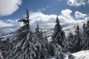 Alpine Eco Chalet & Wellness 20