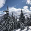 Alpine Eco Chalet & Wellness 14-15/34