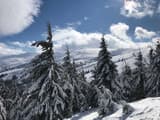 Alpine Eco Chalet & Wellness 14
