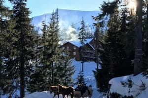 Alpine Eco Chalet & Wellness 12