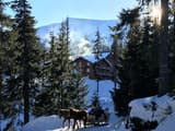 Alpine Eco Chalet & Wellness 6