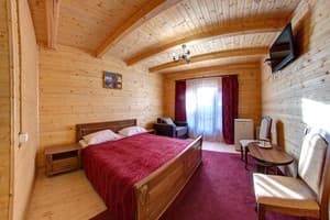 Отель Альтаир. Полулюкс трехместный  1