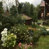 Анастасия 9-10/34