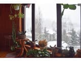 Анастасия 28