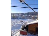 Арника 3