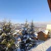 Арника 4-5/33