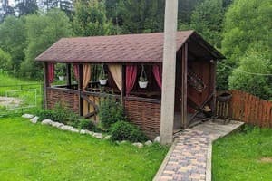 Бадьорість Карпат 1