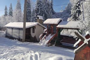 Бадьорість Карпат 7