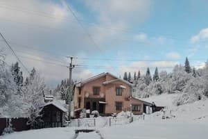 Бадьорість Карпат 5