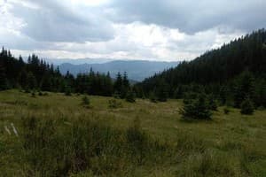 Барвінок 9