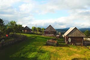 Берлога Синевир 14