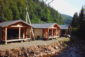 Берлога Синевир 27