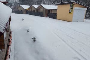 Берлога Синевир 41