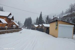 Берлога Синевир 42