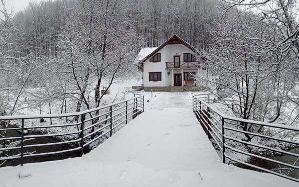 Коттедж Біля лісу