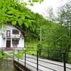 Біля лісу 5-6/17