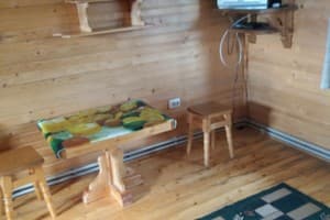 Біля пруту 4