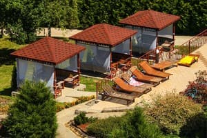 Благодать 10