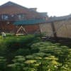 Близнецы 5-6/19