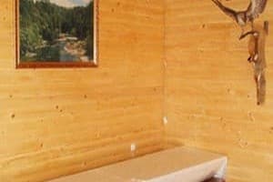 Брусничка 4