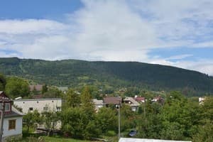 Буковец 3