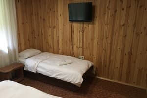 Гостинично-ресторанный комплекс Черемош. Стандарт трехместный Классический 2