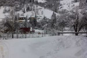 Червона Калина 11