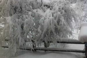 Червона Калина 2