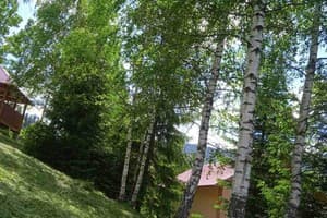 Червона Калина 11