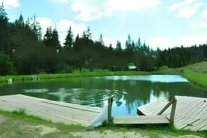 Червона Калина 5