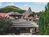 Червона Рута 27