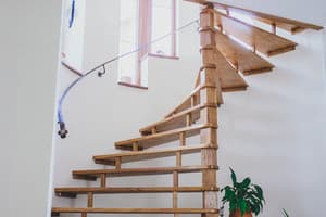 Червона Рута 19