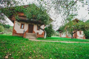 Червона Рута 6