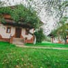 Червона Рута 6-7/31