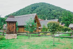 Червона Рута 7