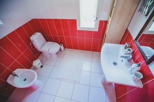 Червона Рута 1