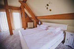 Червона Рута 10